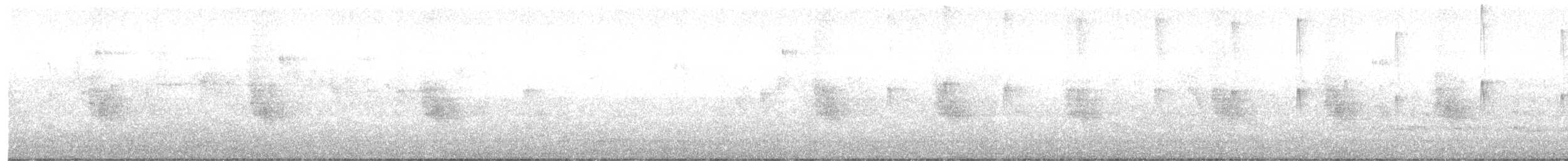 Sick's Swift - ML642850823