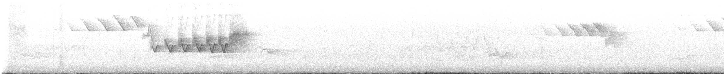 ミズイロアメリカムシクイ - ML642851161