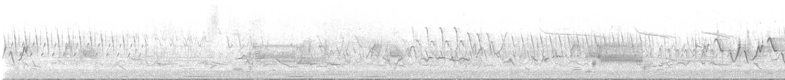 Willow Flycatcher - ML642851868