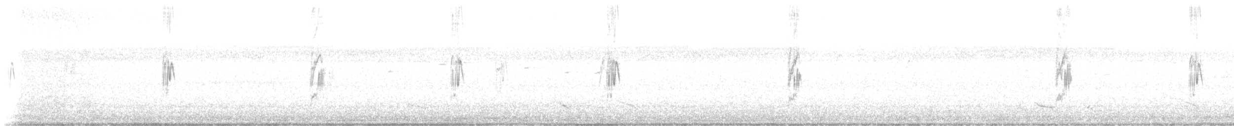 Australian Pipit - ML642851870