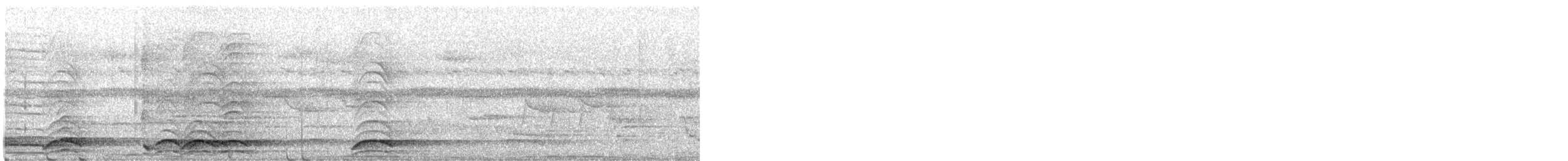 safranparadisfugl - ML642855893