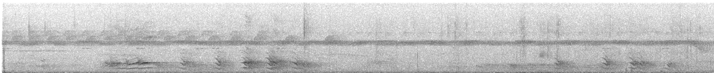 safranparadisfugl - ML642855894