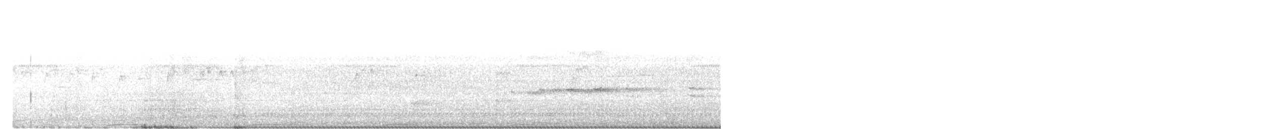 Phasianelle onchall - ML642856923