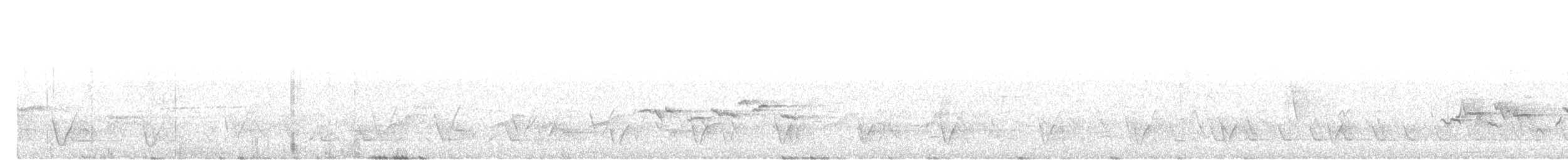 bruntesia - ML642856930