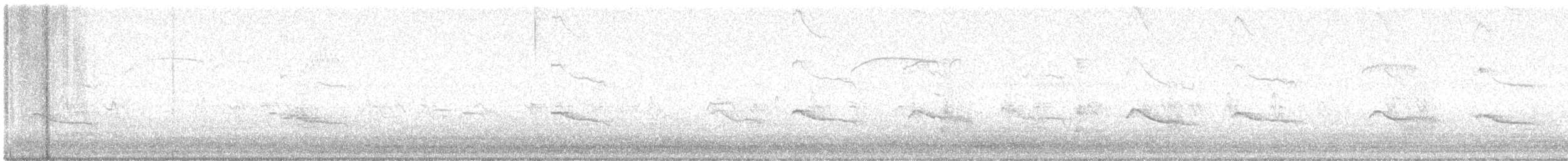 Say's Phoebe - ML642857207