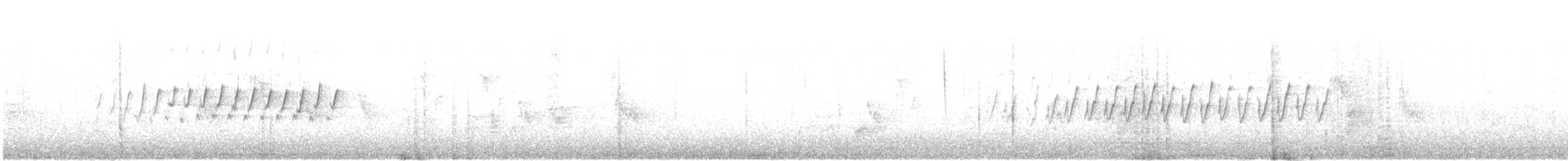 Pine Warbler - ML642857467