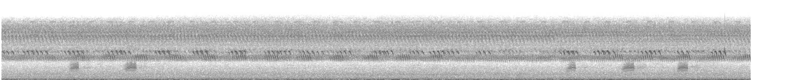 Canard colvert - ML642858132