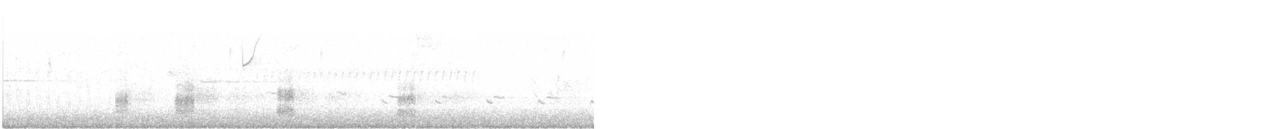 小水鴨(carolinensis) - ML642858274