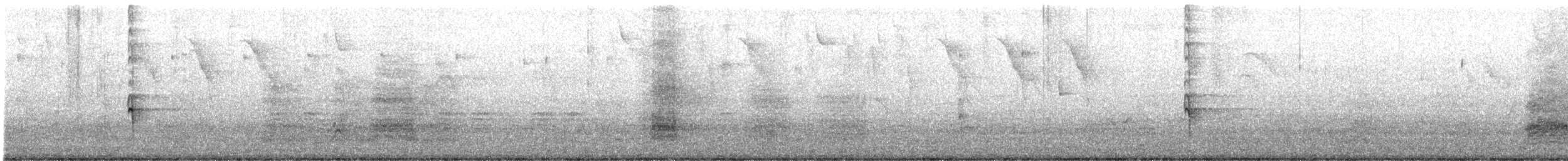 Oriole Blackbird - ML642859118