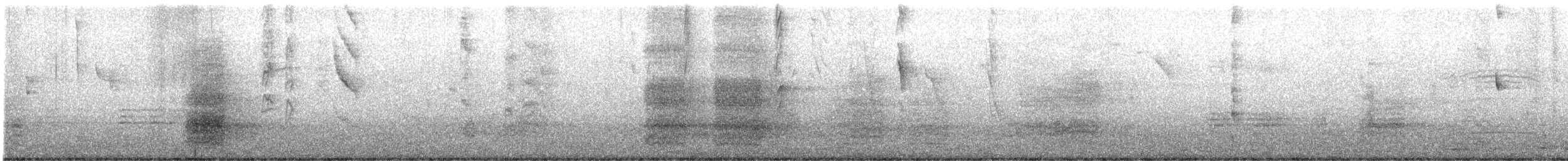 Oriole Blackbird - ML642859122