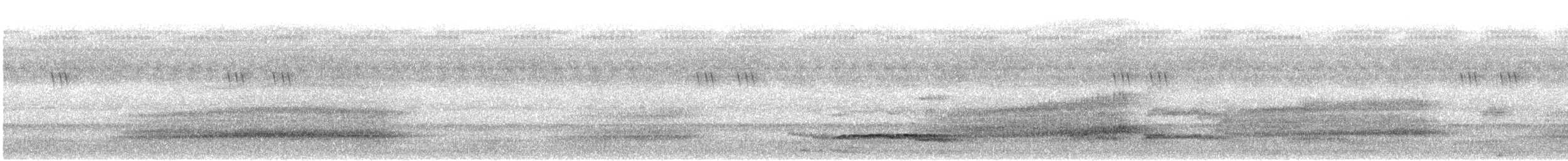 Western Barn Owl (African) - ML642860843