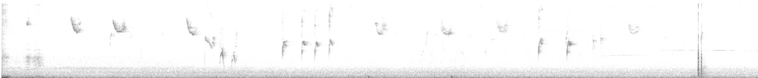 White-throated Sparrow - ML642861274