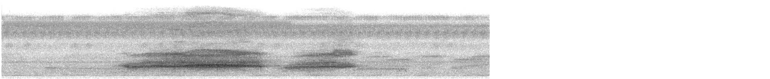 Western Barn Owl (African) - ML642861586