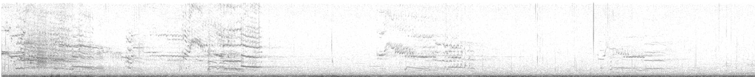 Kelp Gull - ML642861799