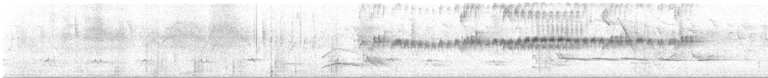 Large Elaenia - ML642862795