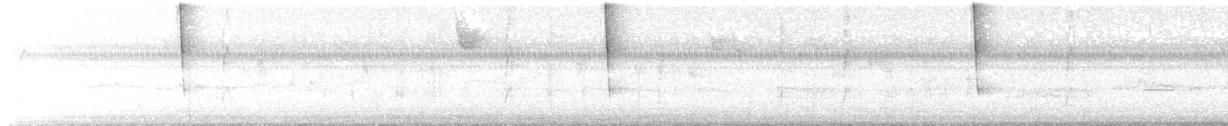 Connecticut Warbler - ML642863115