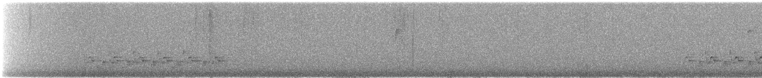 チャバラマユミソサザイ - ML642864467