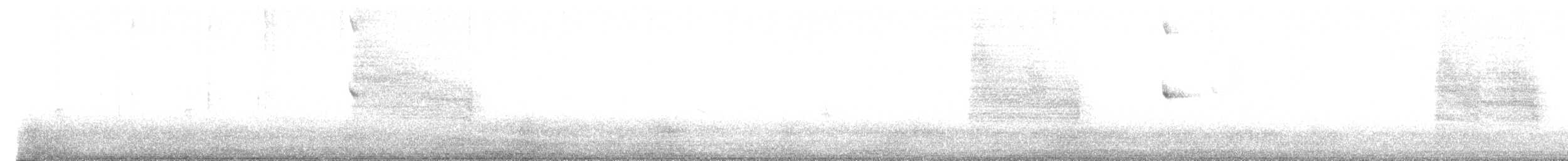 Northern House Wren - ML642864592