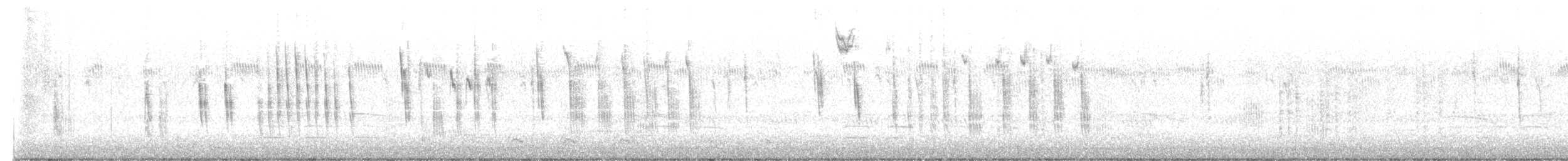 Sedge Wren - ML642865588