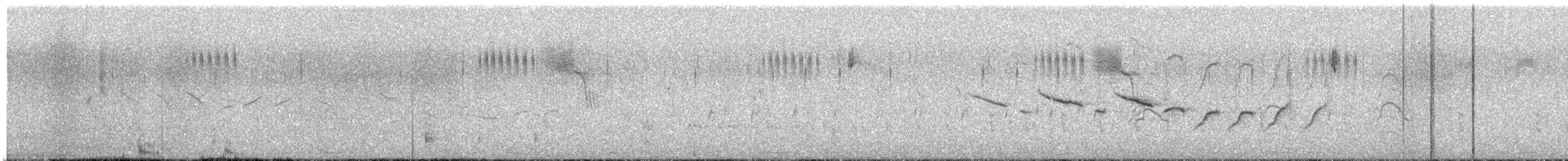 Morelet's Seedeater - ML642865829