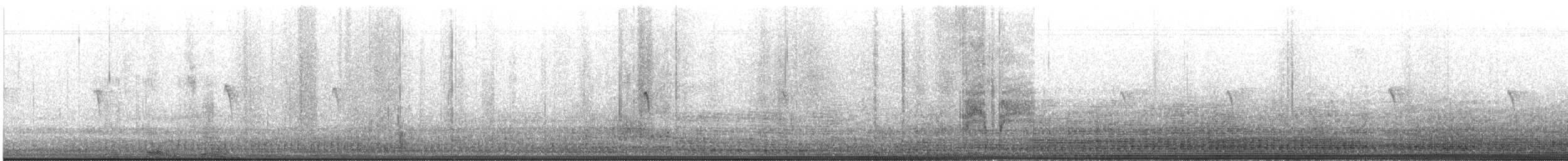 Black Phoebe - ML642866336