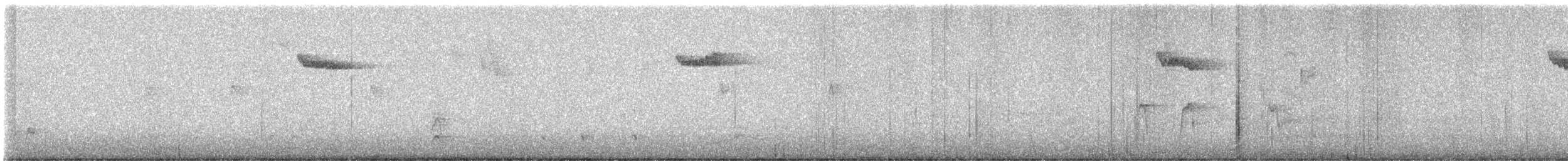 Brown Creeper - ML642866668