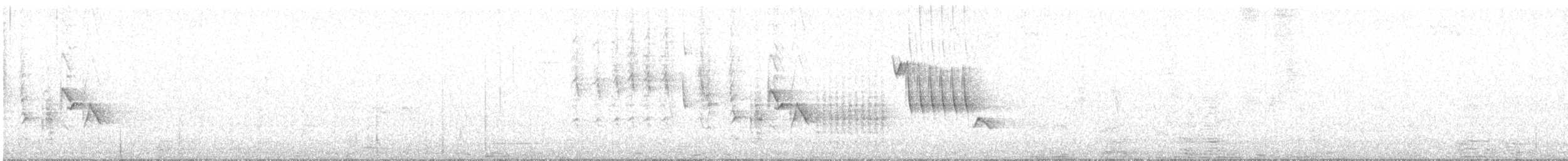 Troglodyte austral - ML642867681