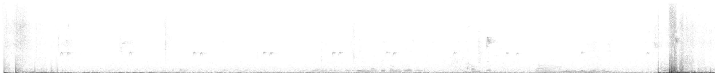 Carolina Wren - ML642868783