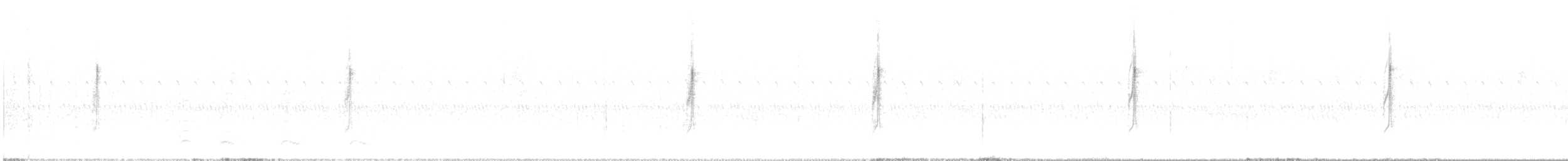 Connecticut Warbler - ML642871837