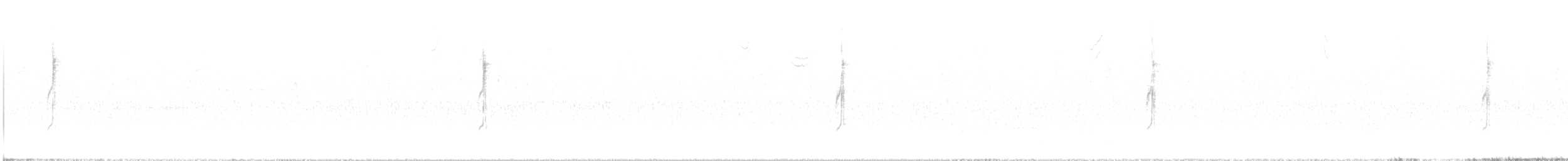 Connecticut Warbler - ML642871847