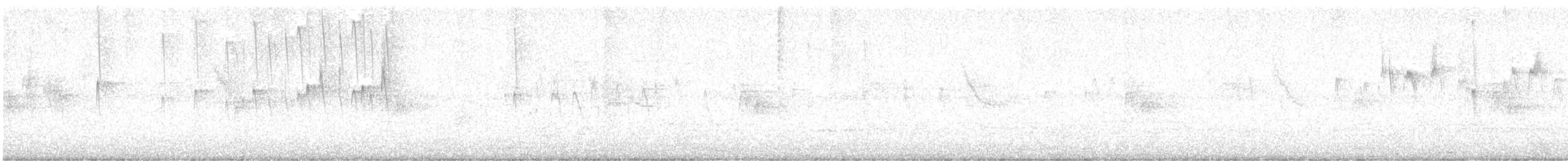 Sick's Swift - ML642872505