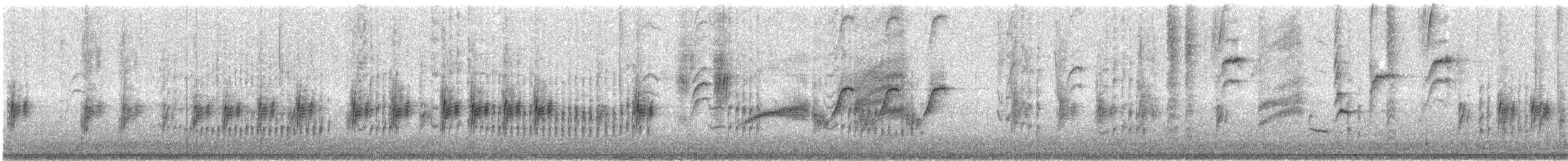 langhalesmett - ML642873482