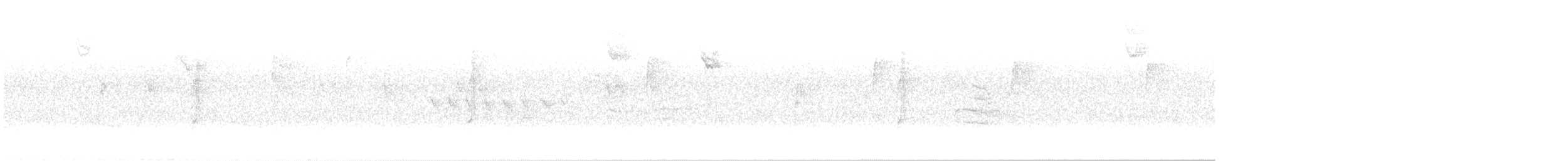 Connecticut Warbler - ML642873632