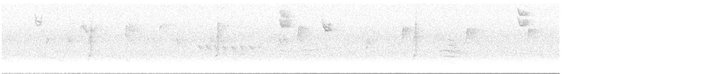 Connecticut Warbler - ML642873634