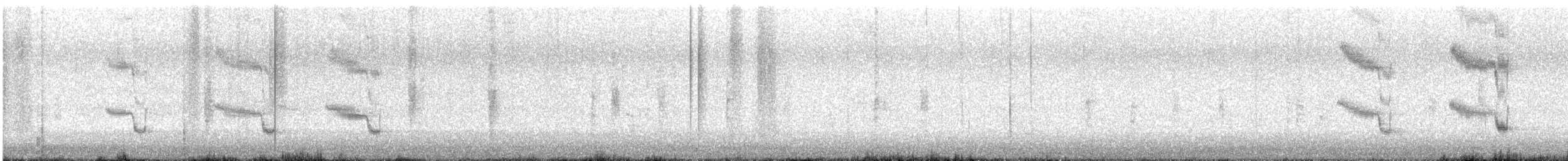 Quiscale des marais - ML642874061