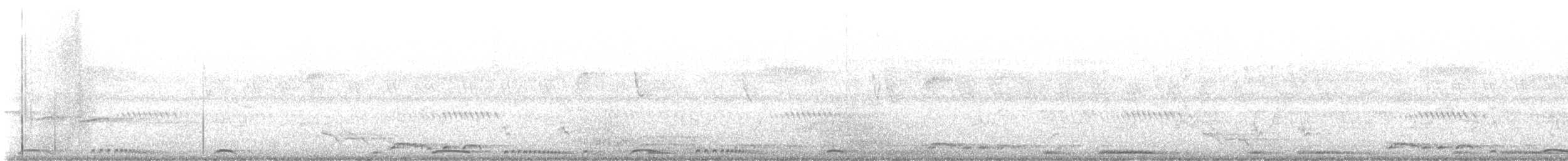 Zebra Dove - ML642874239