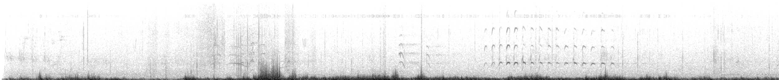 チュウシャクシギ - ML642874436
