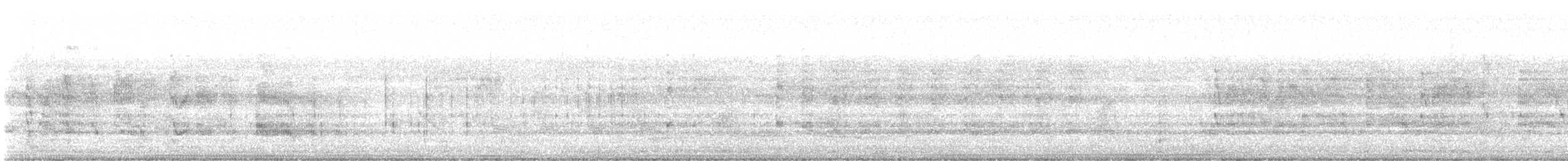 白燕窩金絲燕(germani/amechanus)(傑曼氏金絲燕) - ML642874598