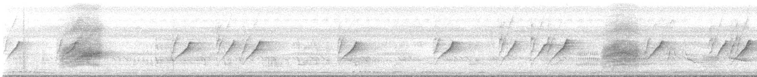 Siamese Pied Starling - ML642874609