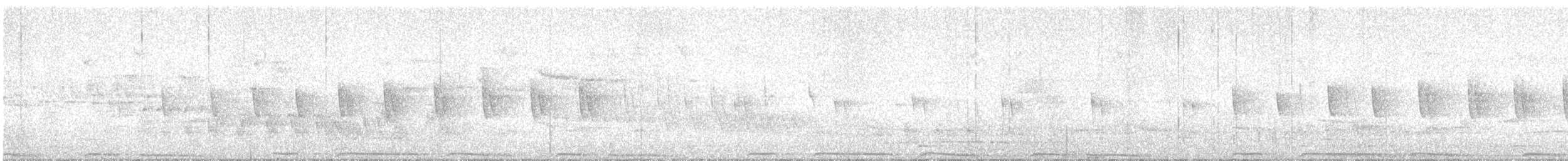ringdue (palumbus gr.) - ML642875667