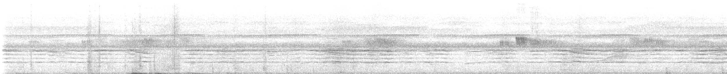 無尾目 - ML642876088