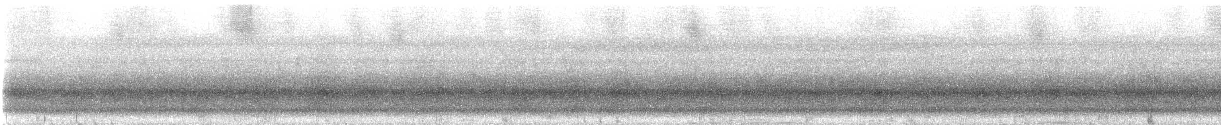 無尾目 - ML642876457