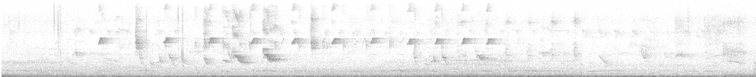 maracaibotodityrann - ML642876623