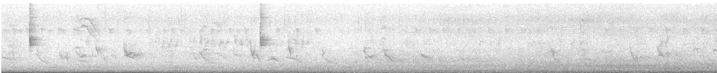 Northern Waterthrush - ML642876711