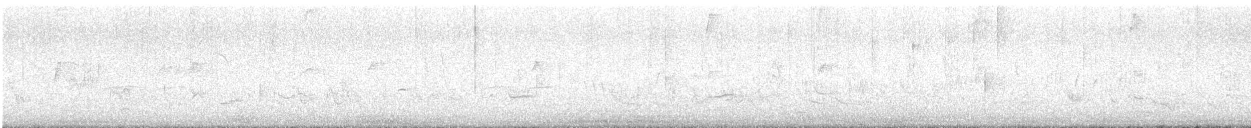 Red-crowned Woodpecker - ML642876772