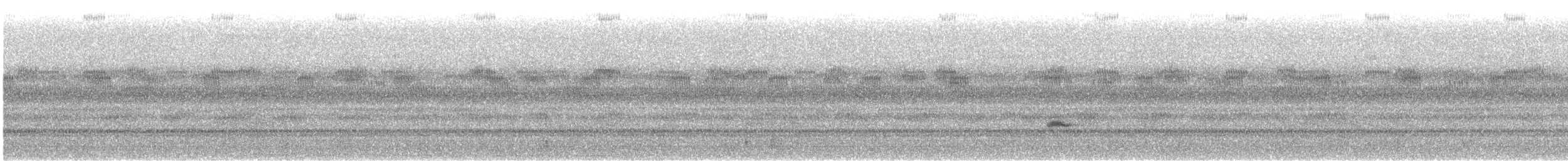 Catharus sp. - ML642876943