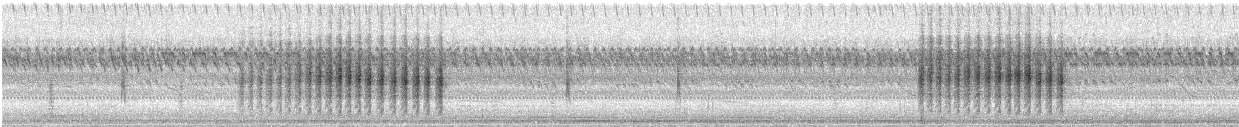 Northern House Wren - ML642877889