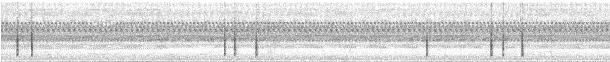 Northern House Wren - ML642877902
