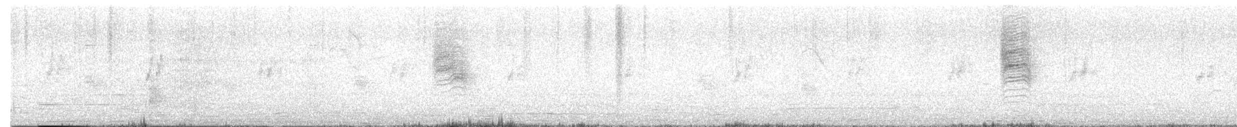 Tropical Gnatcatcher - ML642878900