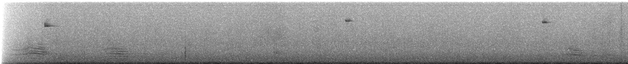 Western Flycatcher (Pacific-slope) - ML642879131